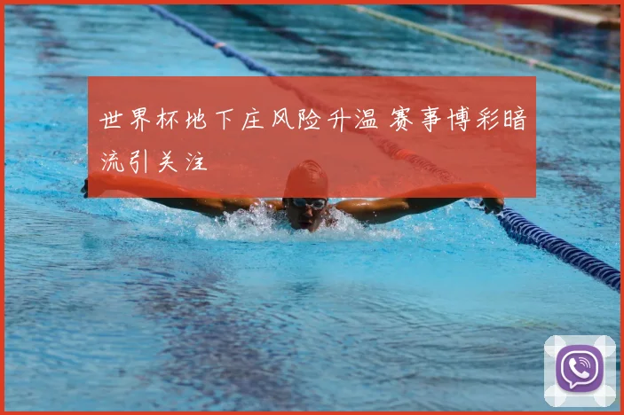 世界杯地下庄风险升温 赛事博彩暗流引关注