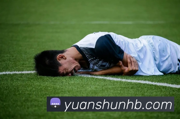 爱游戏ayx官网平台服务体系